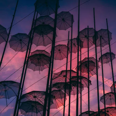 Umbrellas